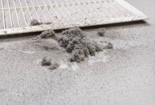 Best Residential Air Duct Cleaning  in Millbury, OH