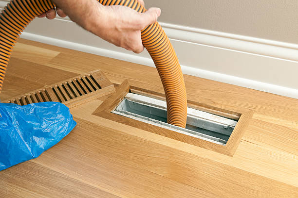 Best Home Air Vent Cleaning  in Millbury, OH